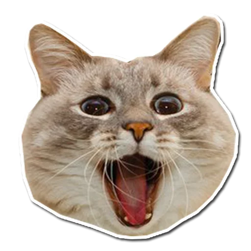 😜