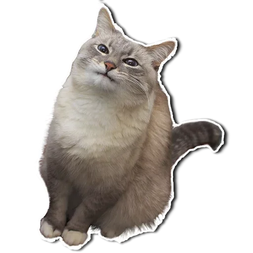 Эмодзи Котянчик