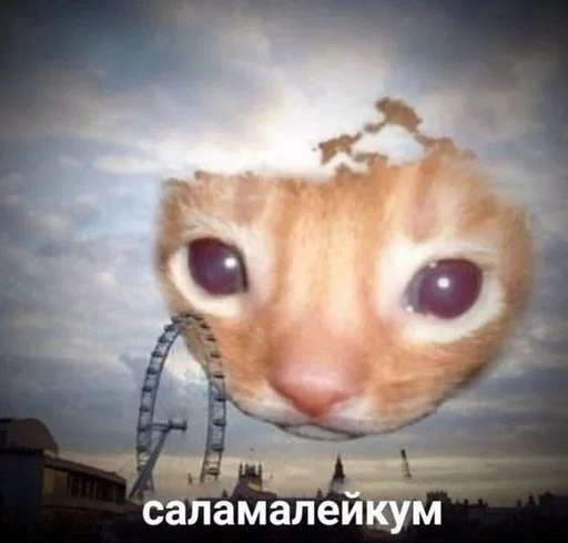 Эмодзи Котяо 1