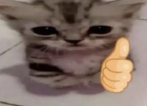 Эмодзи Котяо 1