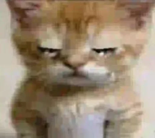 Эмодзи Котяо 1