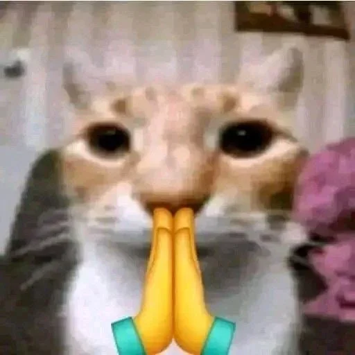 Эмодзи Котяо 1