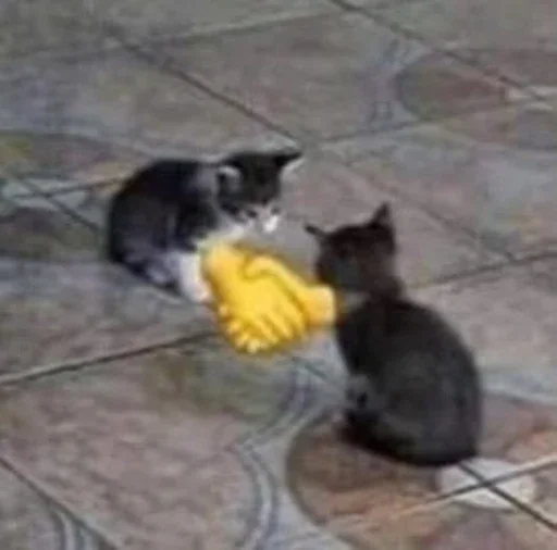Эмодзи Котяо 1