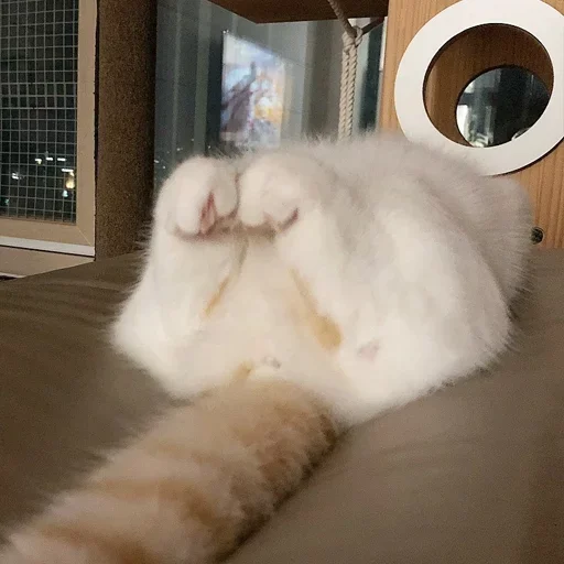 😩