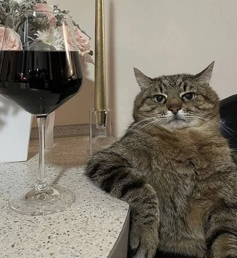 Эмодзи Cats memes
