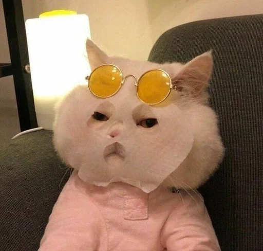 Эмодзи Cats memes