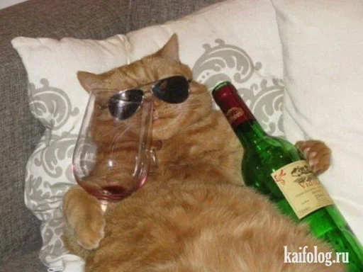 Эмодзи Cats memes