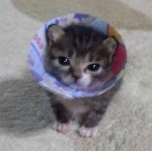 Эмодзи Котявы