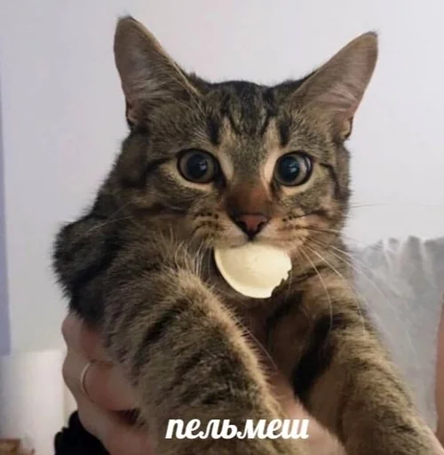 Эмодзи Котявы