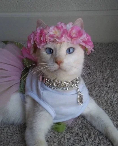 Эмодзи Котявы