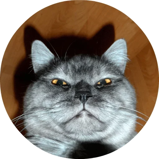 ?