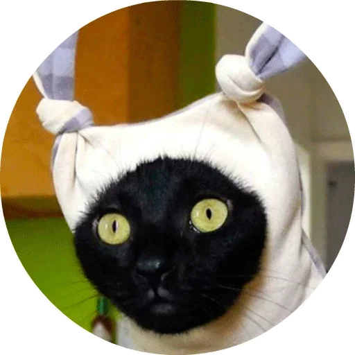 Эмодзи Cats