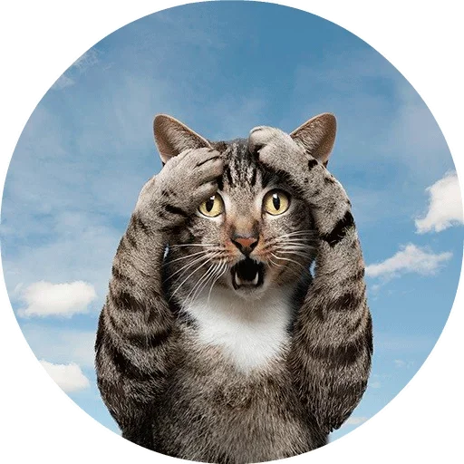 Эмодзи Cats