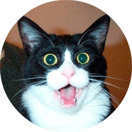 Эмодзи Cats
