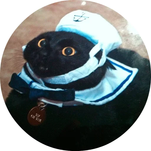 Эмодзи Cats