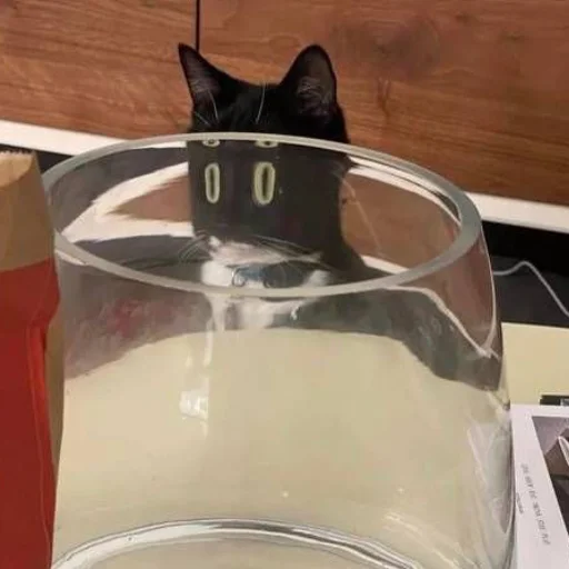 Эмодзи mini cats