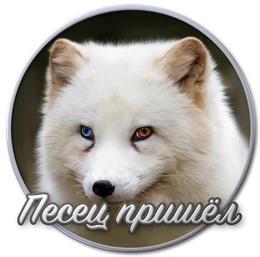 Эмодзи Paints