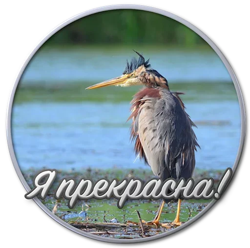 Эмодзи Paints