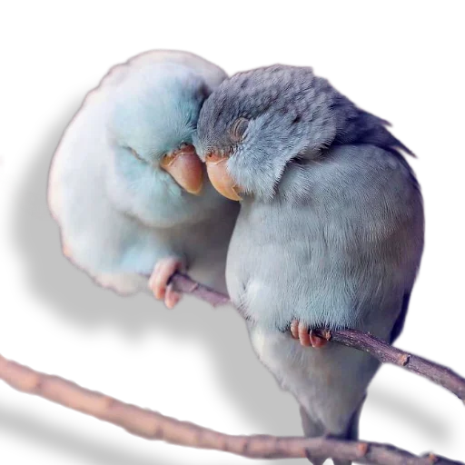 Эмодзи Кроличья лапка