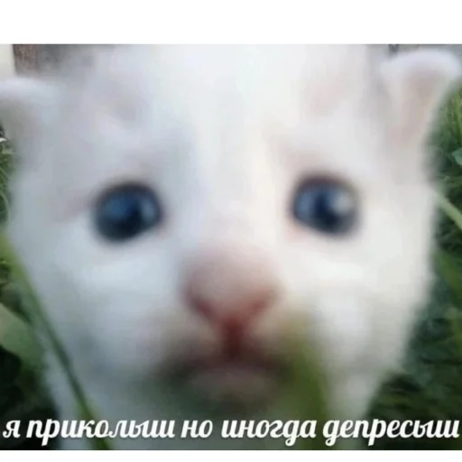 Эмодзи йоу