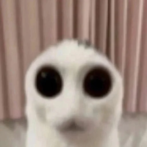 Эмодзи чушь и ерунда