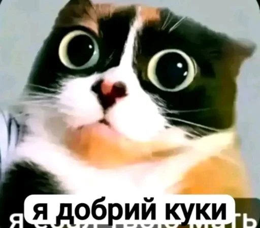 Эмодзи Куки под дозой