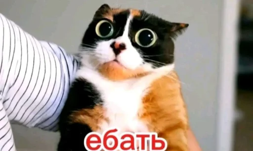 Эмодзи Куки под дозой