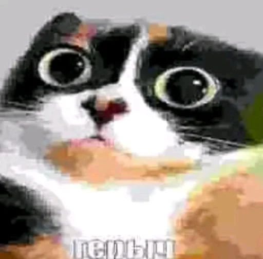 Эмодзи Куки под дозой