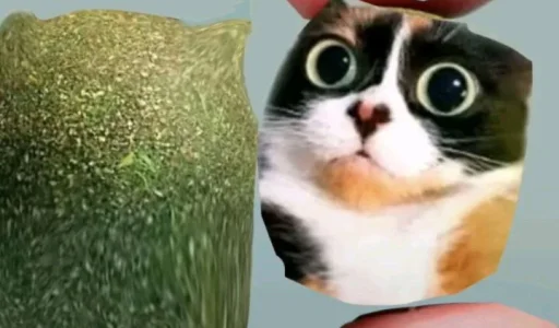 Эмодзи Куки под дозой