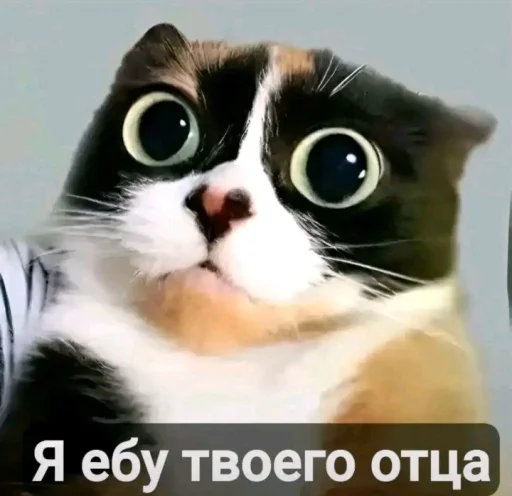 Эмодзи Куки под дозой