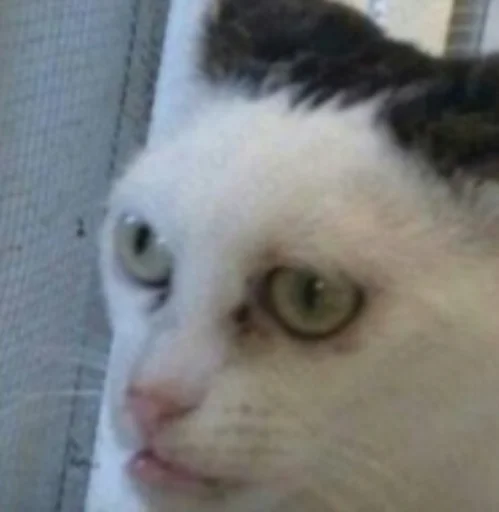Эмодзи kulichsdoh