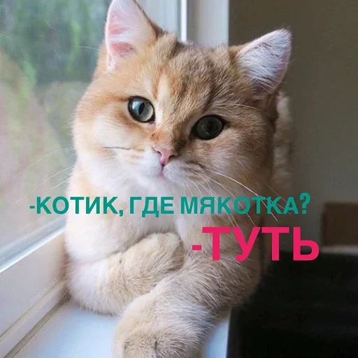 Эмодзи Кусь part 2