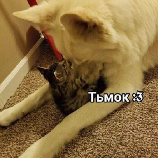 Эмодзи Кусь part 2