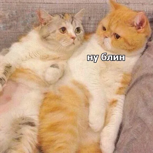 Эмодзи Кусь part 2