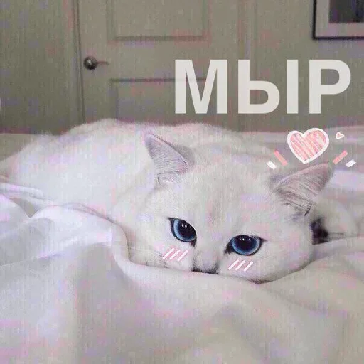 Эмодзи Кусь part 2