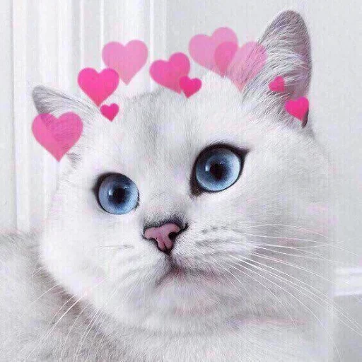 Эмодзи Кусь part 2