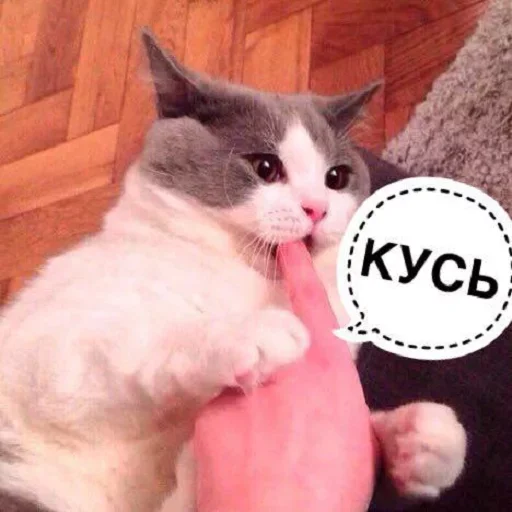 Эмодзи Кусь part 2