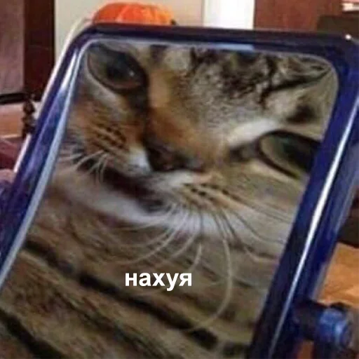 Эмодзи Ну ты и лах
