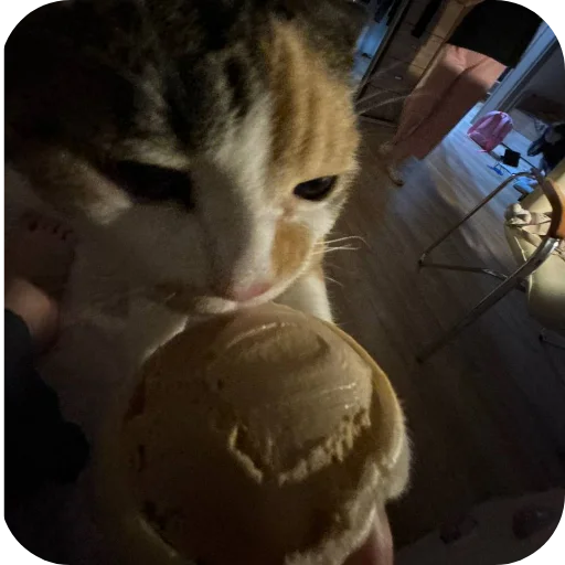 Эмодзи Котики