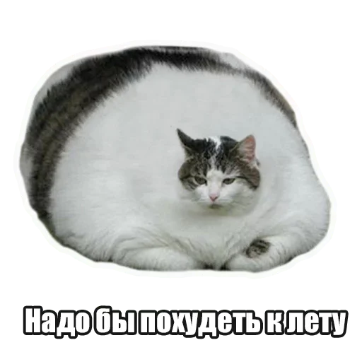 Эмодзи Лампово о стикерах