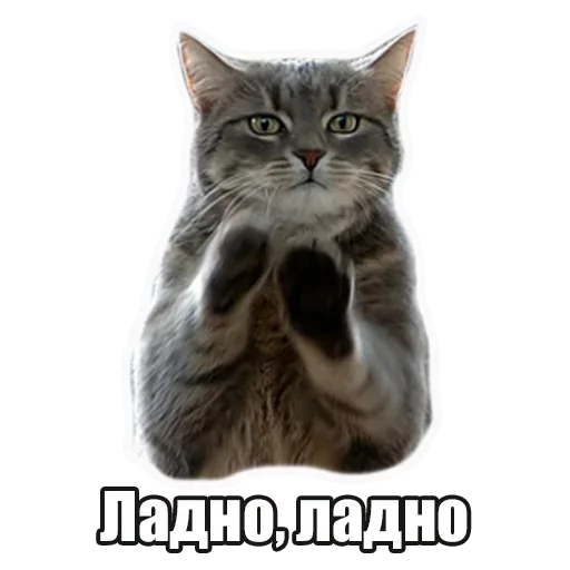 Эмодзи Лампово о стикерах