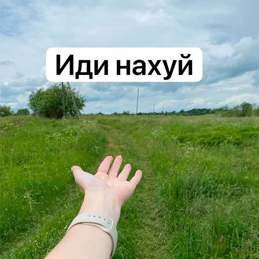 Эмодзи Ланские