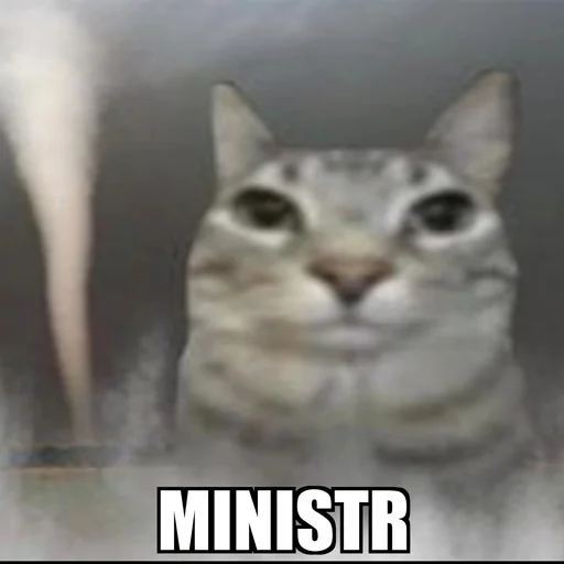 Эмодзи Cat