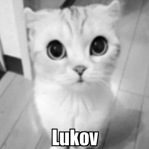 Эмодзи Cat