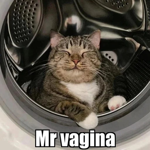 Эмодзи Cat