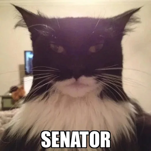 Эмодзи Cat