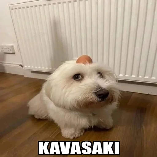 Эмодзи Cat