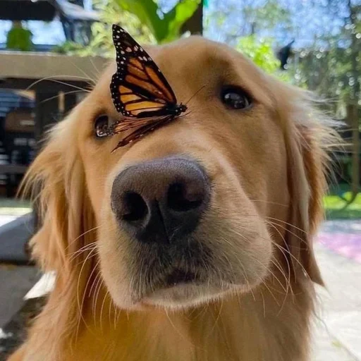 😘