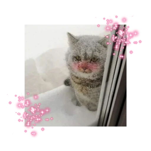 Эмодзи likecats