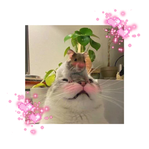 Эмодзи likecats